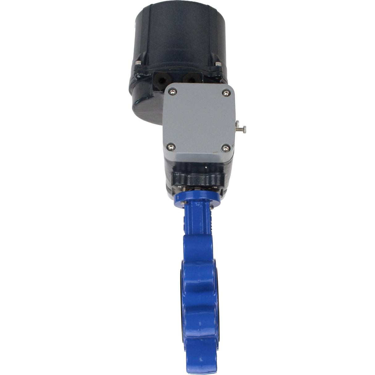 Butterfly valves Elephant WBV1631E-2W-Fb-H LUG interflanged, body - cast iron GGG45/QT450, disc - stainless steel AISI 304, seal - EPDM, with electric quarter turn actuator Elephant QTSA-N-EM-O0-220VAC