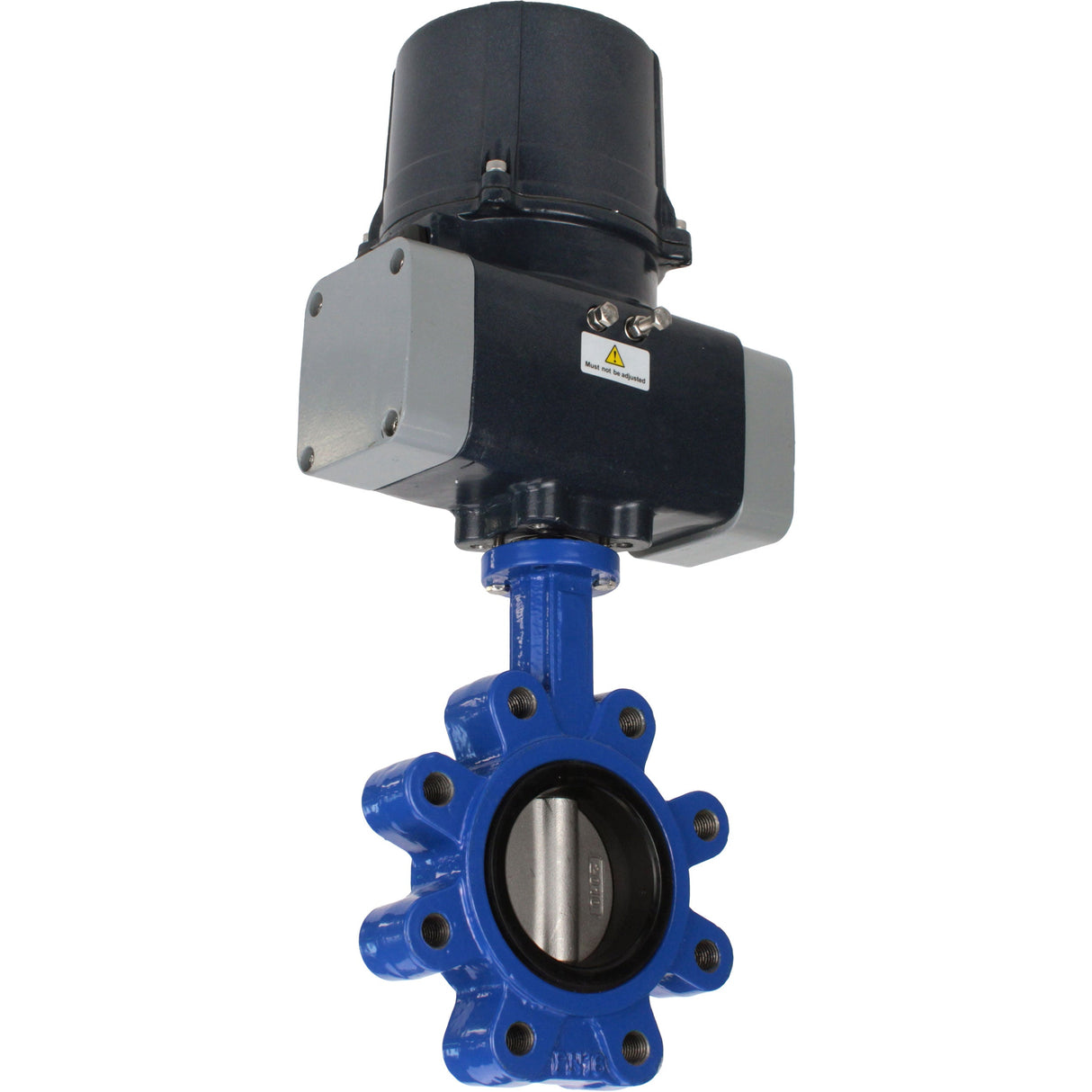 Butterfly valves Elephant WBV1631E-2W-Fb-H LUG interflanged, body - cast iron GGG45/QT450, disc - stainless steel AISI 304, seal - EPDM, with electric quarter turn actuator Elephant QTSA-N-EM-O0-220VAC