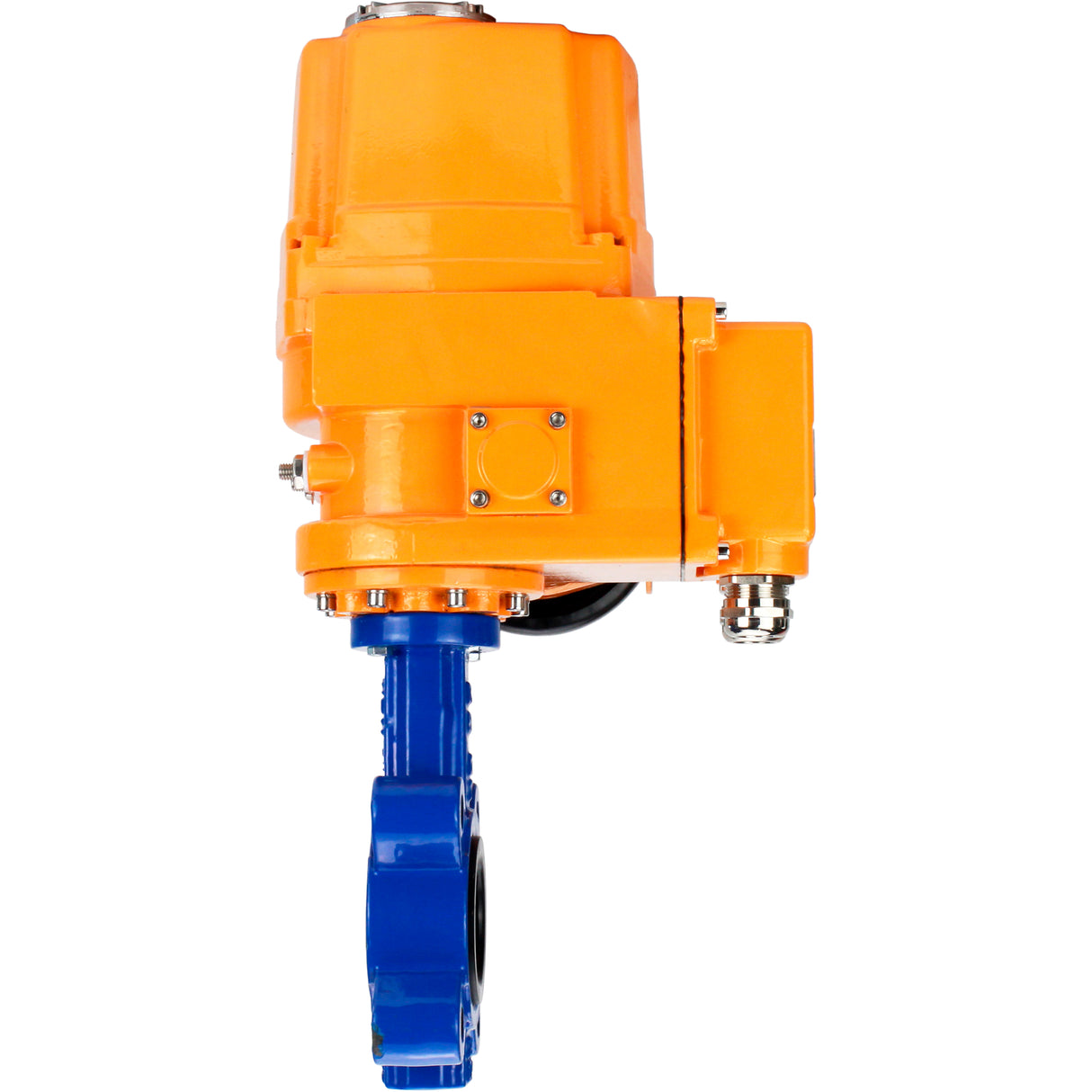 Vanne papillon d'eau Elephant WBV1631N-2W-Fb-H, matériau du corps - fonte QT450, matériau du disque - acier inoxydable AISI 304, joint - NBR, actionneur électrique QT-EX-EM-O1-24VDC-U1 24V