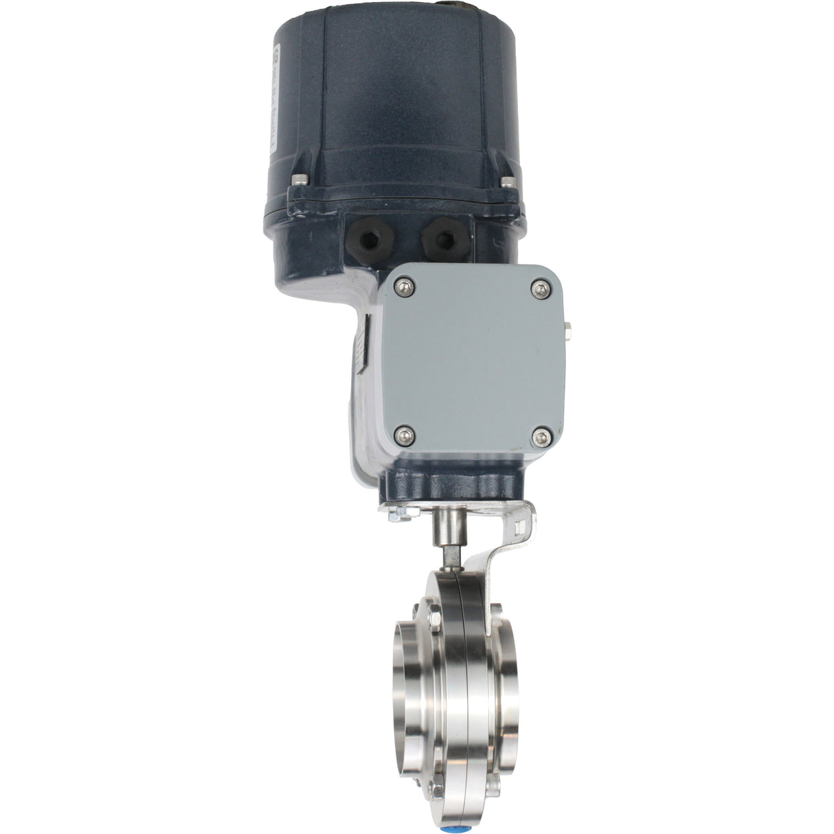 Butterfly valves Elephant WBV3131E-2W-C-H clumpy, body - food grade stainless steel AISI 304, disc - stainless steel AISI 304, seal - EPDM, with electric quarter turn actuator Elephant QTSA-N-EM-O0-220VAC