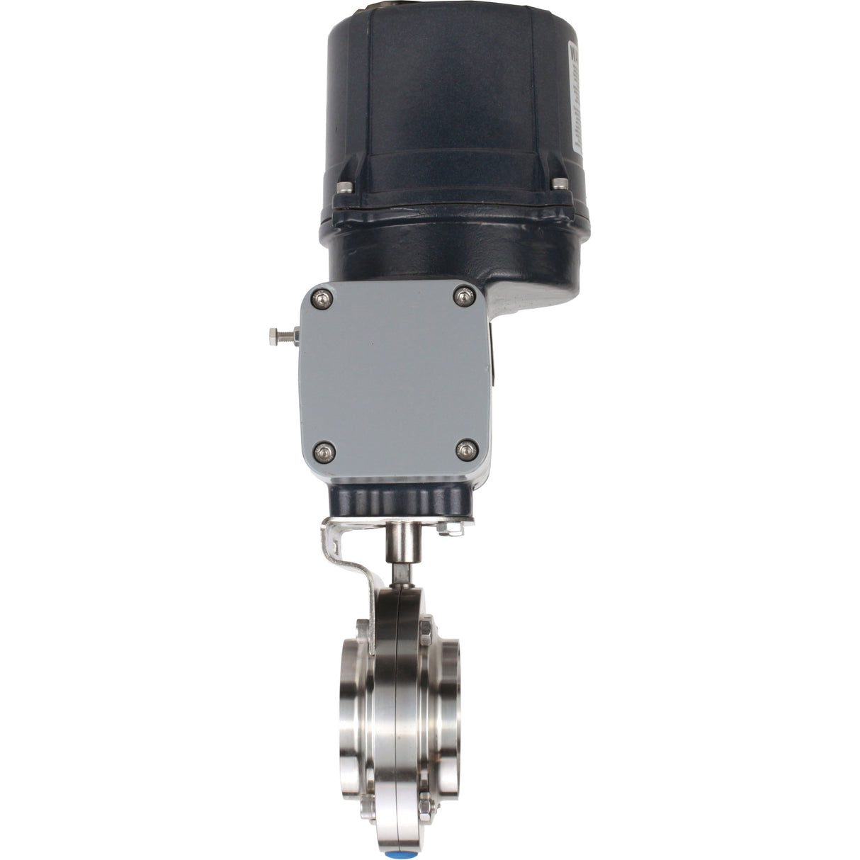Butterfly valves Elephant WBV3131E-2W-C-H clumpy, body - food grade stainless steel AISI 304, disc - stainless steel AISI 304, seal - EPDM, with electric quarter turn actuator Elephant QTSA-N-EM-O0-220VAC