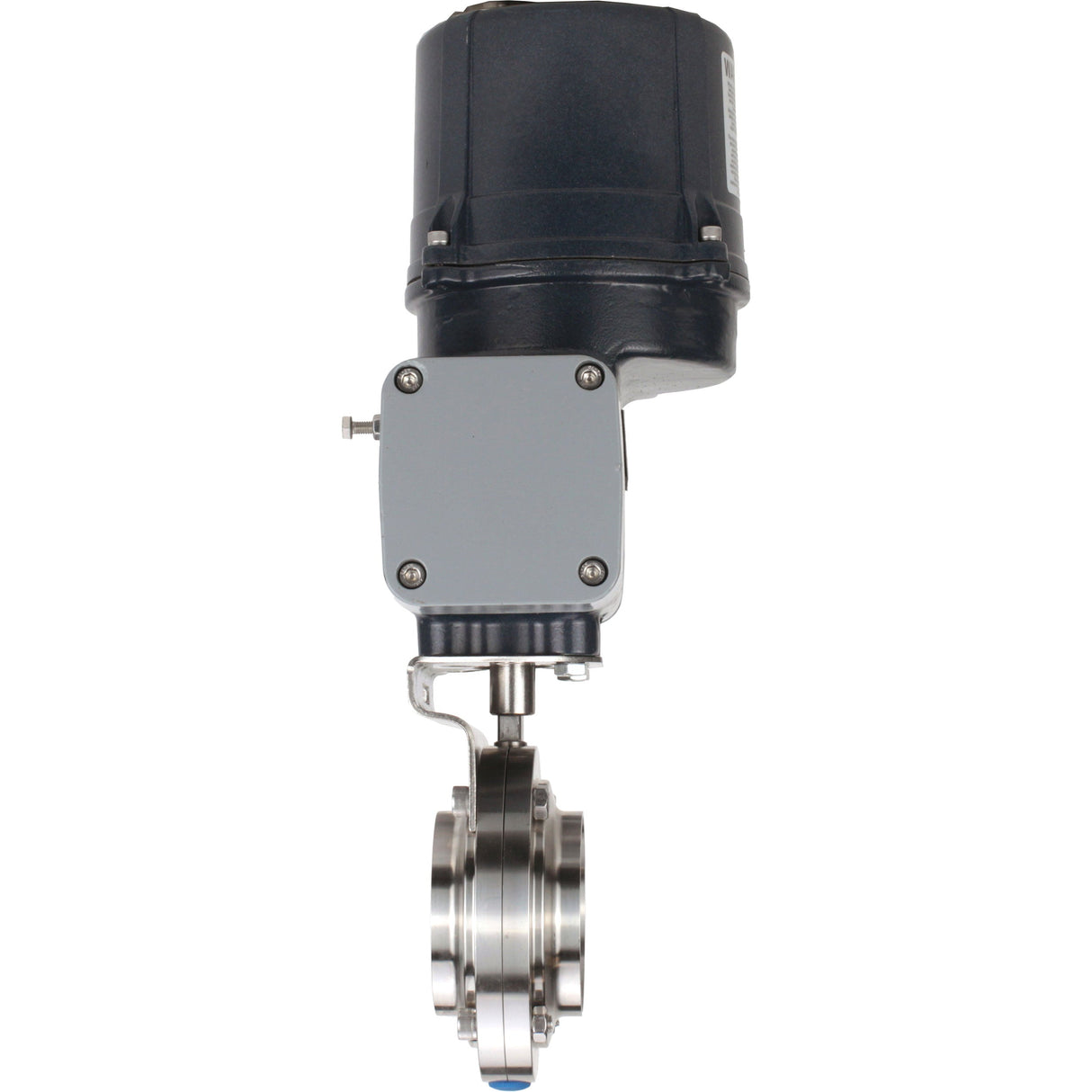 Butterfly valves Elephant WBV3131E-2W-C-H clumpy, body - food grade stainless steel AISI 304, disc - stainless steel AISI 304, seal - EPDM, with electric quarter turn actuator Elephant QTSA-N-EM-O0-220VAC