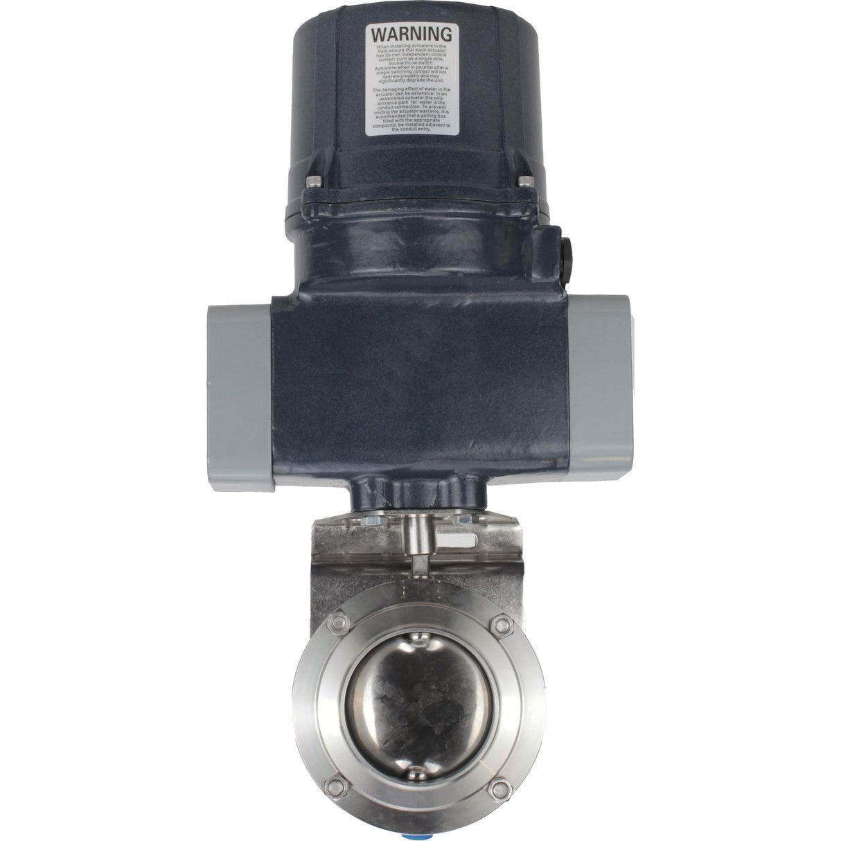 Butterfly valves Elephant WBV3131E-2W-C-H clumpy, body - food grade stainless steel AISI 304, disc - stainless steel AISI 304, seal - EPDM, with electric quarter turn actuator Elephant QTSA-N-EM-O0-220VAC