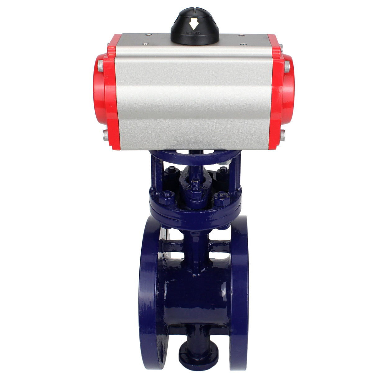 Vanne papillon d'eau Elephant WBV3EX-3431M-1W-F-ISO, matériau du corps - Acier au carbone, matériau du disque - Acier inoxydable AISI 304, joint - Métal, actionneur pneumatique PA-SA avec ressorts de rappel, 4M310-08 24V