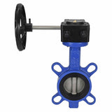 Válvula Mariposa de Agua Elefante WCB-316L-EPDM Material del cuerpo - Acero al carbono WCB, material del disco - Acero inoxidable AISI 316L, sello - EPDM con engranaje Elefante HAM