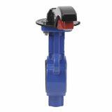 Válvula de mariposa de agua Elephant AL-316L-EPDM 232PSI, material del cuerpo: aleación de aluminio, material del disco: acero inoxidable 316L, sello: EPDM, operada con volante